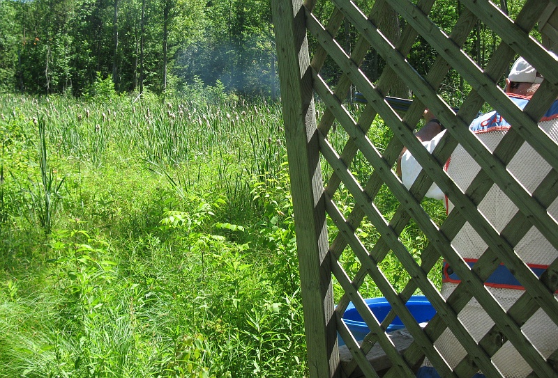 Galt7-3-2010 0271.jpg